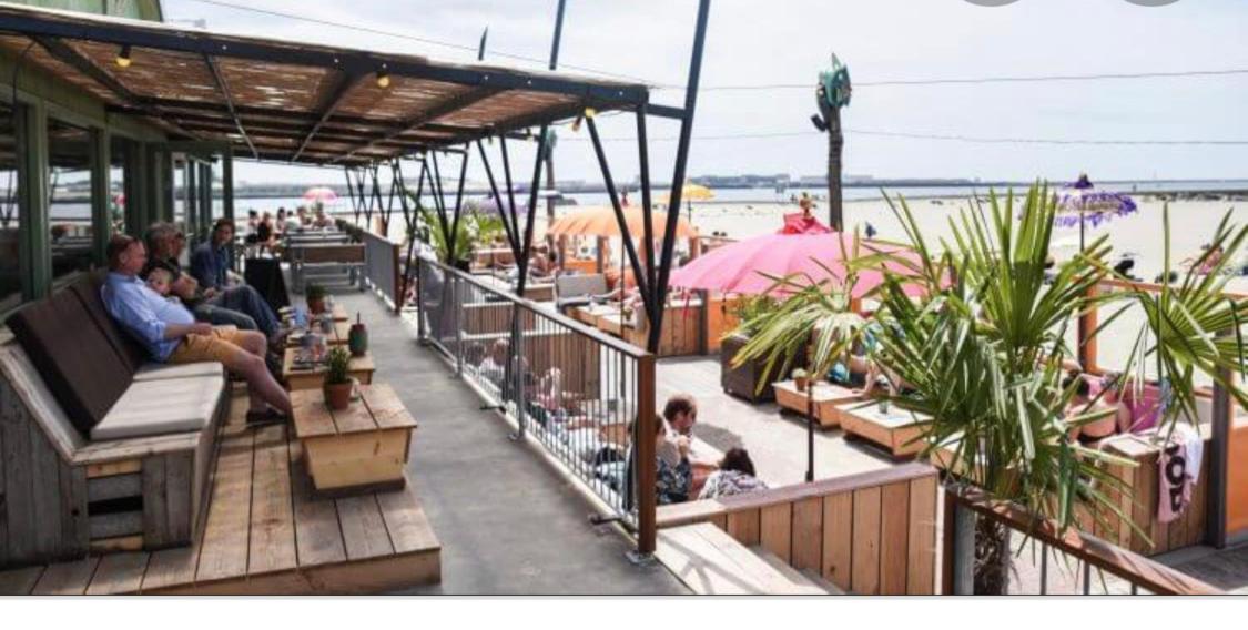 Beautiful House At Beach, Sea And Dunes Wijk aan Zee Exterior foto