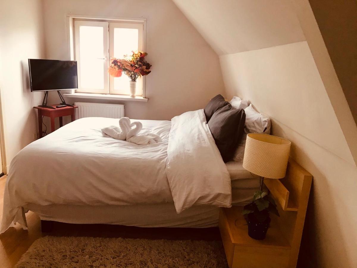 Beautiful House At Beach, Sea And Dunes Wijk aan Zee Quarto foto
